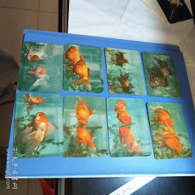 形形色色的金鱼小画片，共15枚合售，年历片样式。
