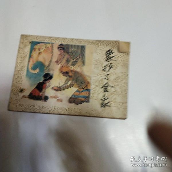 象护与金象