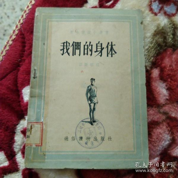 我们的身体
