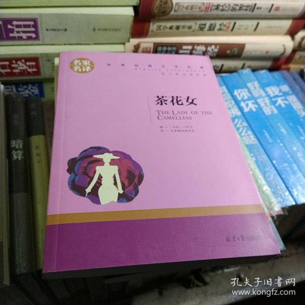 茶花女 中小学生课外阅读书籍世界经典文学名著青少年儿童文学读物故事书名家名译原汁原味读原著