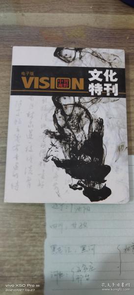 电子版VISION中智视野文化特刊光盘如图