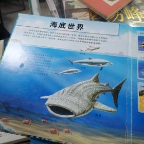 3D自然世界系列：海洋世界