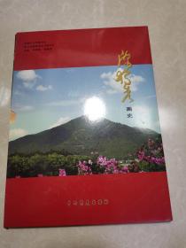 陈独秀画史 大16开平装带外壳 全铜版纸画像