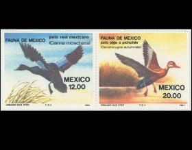 墨西哥邮票 1984年野鸭 2连新 外国邮票 大票幅动物 鸟类
