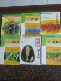 苦菜  刺五加、油菜、尖椒红椒、金银花、鸡腿菇  滑子菇、胡萝卜等的种植培育技术，共6本。(五)