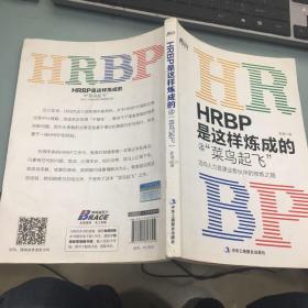 HRBP是这样炼成的之菜鸟起飞