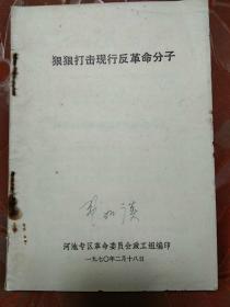 **品:《狠狠打击现行反革命分子》