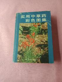 实用中草药彩色图集（第6册）