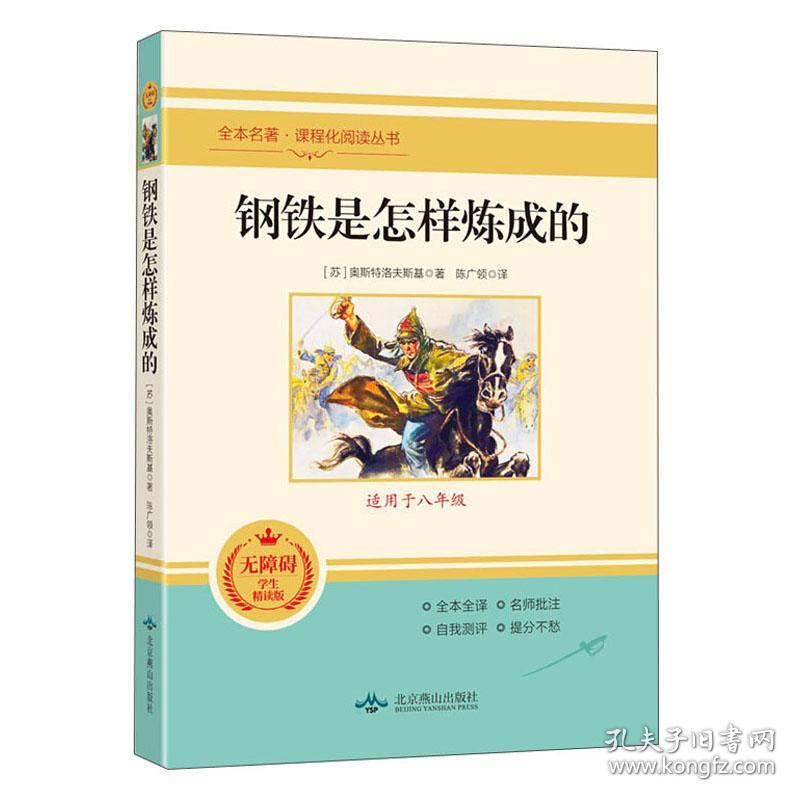 钢铁是怎样炼成的（适用于八年级） 必读下 k