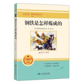 钢铁是怎样炼成的 奥斯特洛夫斯基 北京燕山出版社 2010-01 9787540256562