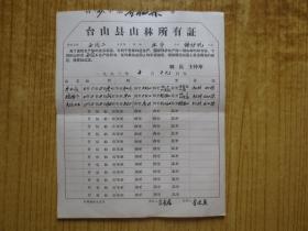 1963年广东台山县山林所有证