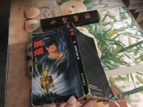 奇情科幻小说/亚洲之鹰故事：《飞焰》