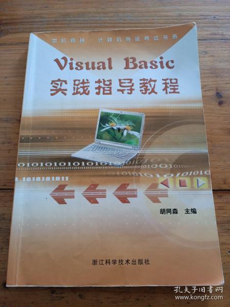 世纪精品计算机等级考试书系：Visual Basic实践指导教程（附光盘）