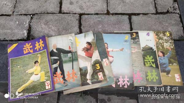 武林杂志  1981年创刊。当年出了3期。从第一期到1982年第五期，一共连载了8期射雕英雄传