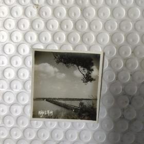 无锡蠡园风景 黑白老照片16张 合售.长6厘米宽5.8厘米  包快递