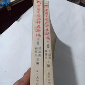 中国文学批评史新编，上下册