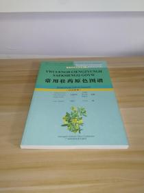 实用壮医药丛书：常用壮药原色图谱（壮汉双语）