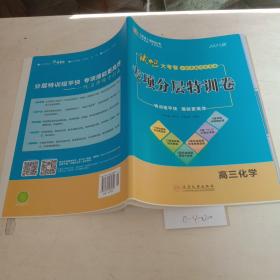 试吧大考卷二轮专题闯关导练，专项分层特训卷（高三化学）2021版