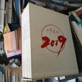 山东画报2019全年(含增刊)14本合售