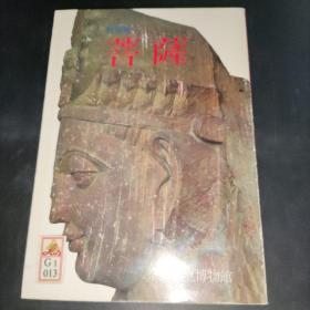 菩萨特别展(日文原版)16开