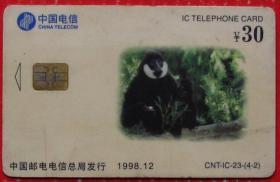 白颓长背猿（中国电信）--早期手机IC芯片卡甩卖--实物拍照--永远保真