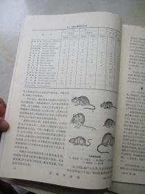 生物学通报 1986年第1、2、3、4、5、6、7、8期 8本合售