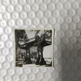 无锡蠡园风景 黑白老照片16张 合售.长6厘米宽5.8厘米  包快递