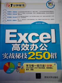 Excel高效办公实战秘技250招（16开）