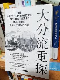 大分流重探：欧洲、印度与全球经济强权的兴起