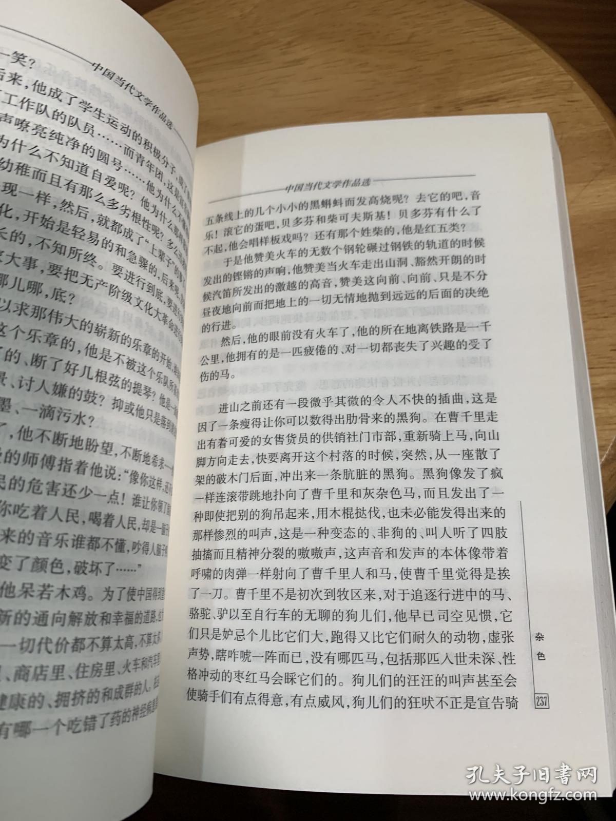 中国当代文学作品选（修订本）