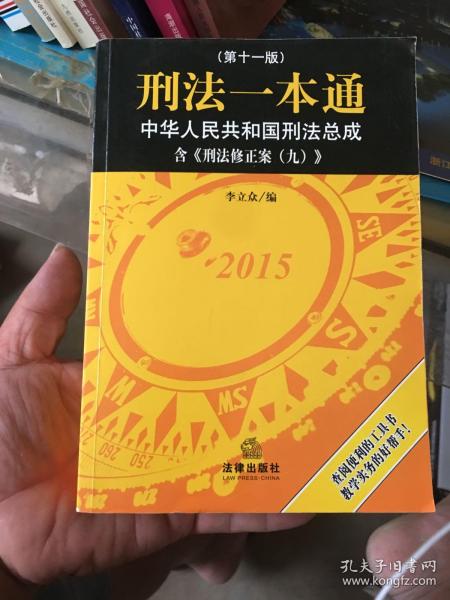 刑法一本通：中华人民共和国刑法总成（第十三版）