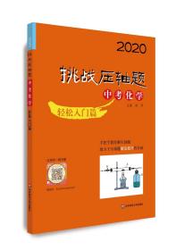 2020挑战压轴题·中考化学—轻松入门篇