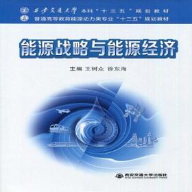 【正版二手】能源战略与能源经济  王树众  徐东海  西安交通大学出版社  9787569313703