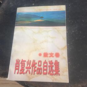 肖复兴散文自选集