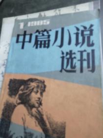 中篇小说选刋1985，1