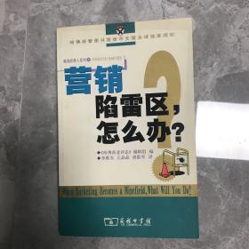 营销陷雷区，怎么办？——挑战经理人《哈佛商业论》案例研究精选