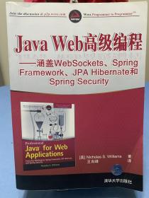 Java Web高级编程：涵盖WebSockets、Spring Framework、JPA Hibernate和Spring Security（797页）