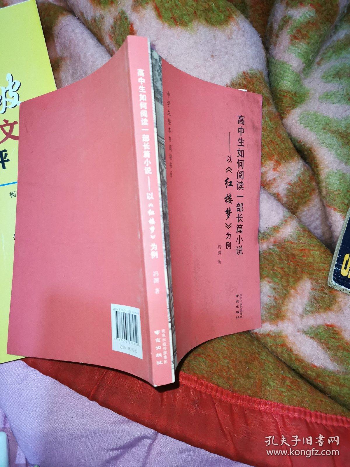 高中生如何阅读一部长篇小说：以《红楼梦》为例（中学生整本书阅读书系）