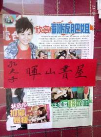 郑欣宜林欣彤王祖蓝彩页