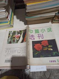 中篇小说选刊   1995/6