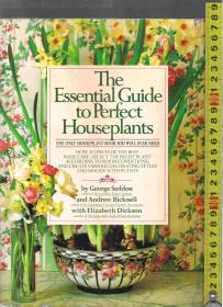 原版英语园艺书The Essential Guide to Perfect Houseplants《完美家庭植物的必要指导》