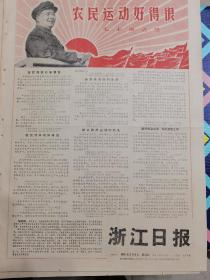 《浙江日报》【农民运动好得很——毛主席语录】