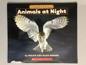 Animals at Night