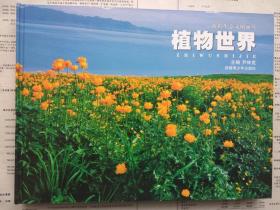 新疆生态文明画丛：植物世界（新疆野生植物画册）