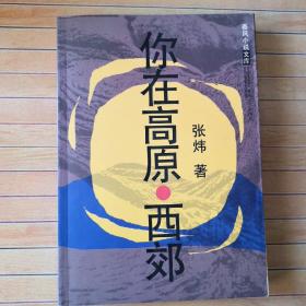 你在高原·西郊