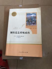 统编语文教材配套阅读 八年级下：钢铁是怎样炼成的/名著阅读课程化丛书