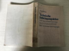 Technische Schwingungslehre 【德文】 工程振动学 第一卷《简单振动器》第一册《线性振动》第3版