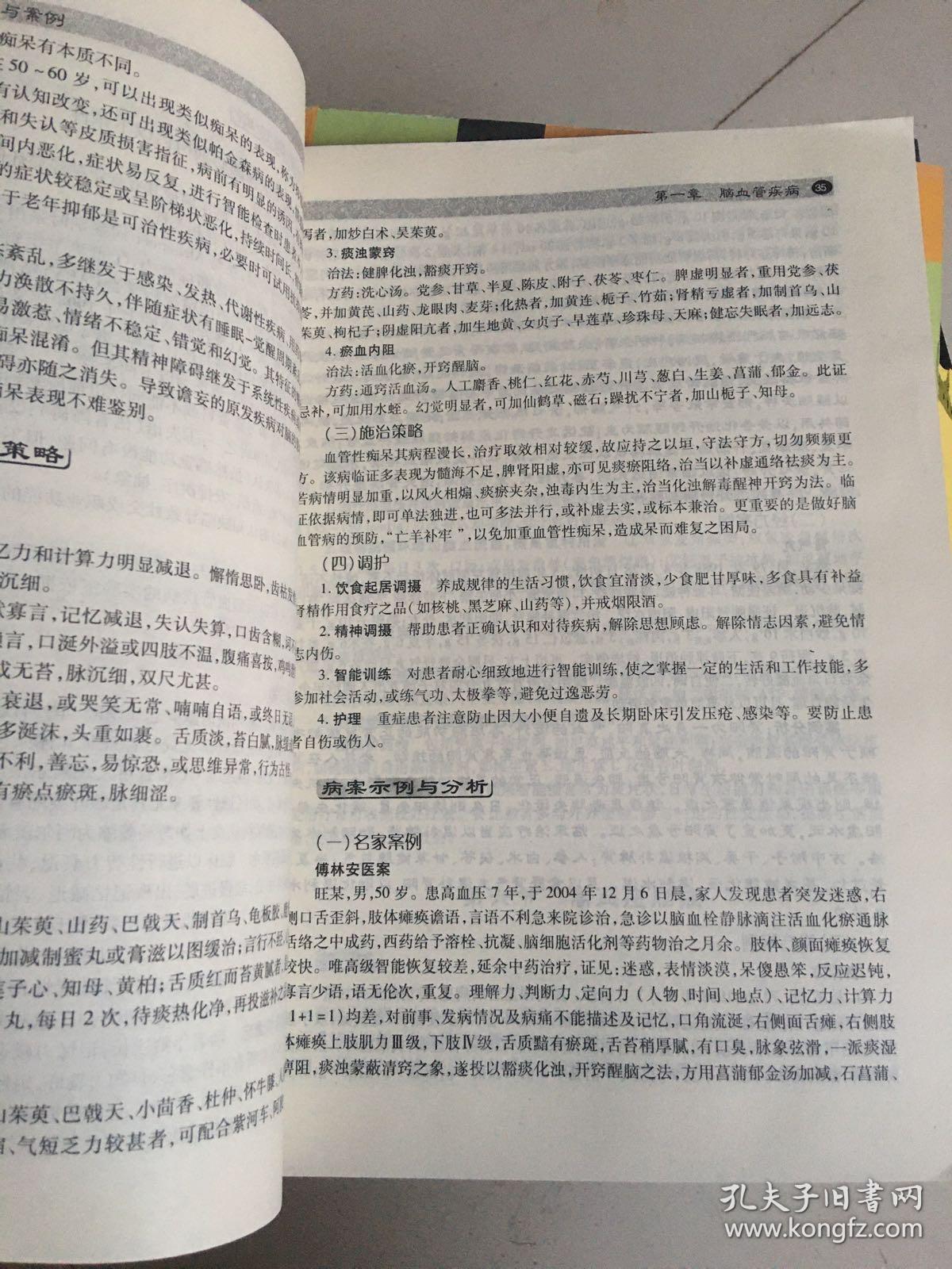 脑病辨证施治策略与案例