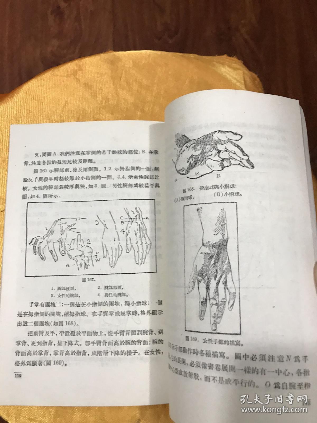 素描画述要