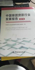 中国银团贷款行业发展报告2016